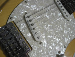 Jay Turser "Branson" Phantom Coil Guitar