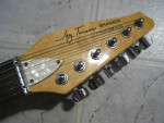 Jay Turser "Branson" Phantom Coil Guitar