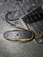 Bridge pickup from a Fender Brad Paisley Telecaster