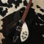 Rickenbacker 330 Black