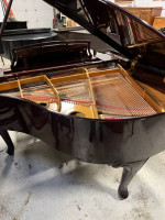 Young Chang Baby Grand