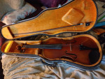 2 German violas
