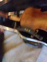 2 German violas