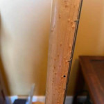 Warmoth Tele