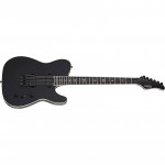 Schecter PT SLS Evil Twin