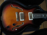 PRS SE Hollowbody II
