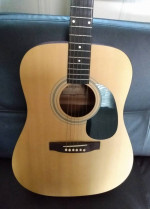 Acoustic Guitar Lotus Made in Korea
