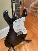 Danelectro Dano Blaster Hearsay Guitar