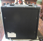 zzz Washburn Bad Dog BD12 Guitar Amplifier