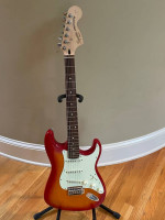 Squier (Gold Label) Stratocaster Standard Series Guitar
