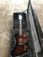 Inspired By Gibson Series Epiphone Firebird