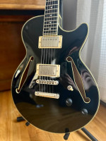 D’Angelico Excel SS Tour