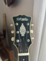 D’Angelico Excel SS Tour