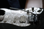 ESP Vintage Plus (Custom) Floyd.