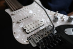 ESP Vintage Plus (Custom) Floyd.