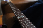 ESP Vintage Plus (Custom) Floyd.