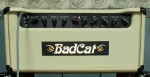 Bad Cat Hot Cat 30 handwired head