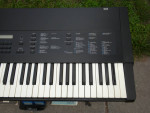 Korg DSS-1 1986 hybrid Digital Analog Synthesizer sampler, VERY nice!
