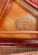 Young Chang Baby Grand Piano (Excellent Condition!)