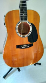 Estaban American Legacy AL-100 Acoustic Electric Guitar