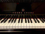 Black Gloss Baby Grand Piano (Excellent Condition!)