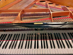 Black High Gloss Baby Grand Piano (Excellent Condition!)