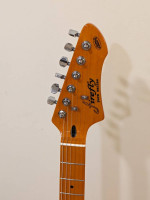 Mad Cat Telecaster by Firefly