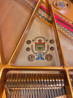 Knabe Baby Grand Piano (Excellent Condition!)