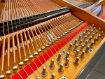 Baldwin Black Baby Grand Piano (Mint Condition!)