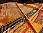 Baldwin Baby Grand Piano (Mint Comdition!)