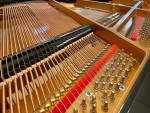 Baldwin Balck Baby Grand Piano (Mint Condition!)