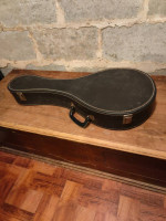 Mandolin