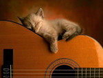 Guitar Lessons at Professional Guitar Instruction