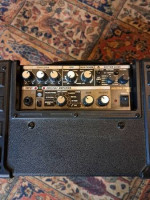 Roland Microcube RX Guitar Amp