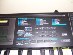 Casio LTK 170 Piano Keyboard & Stand- 61 Lighted Keys- Exc. Condition