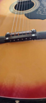 Checkmate G145 Vintage Acoustic Guitar Project