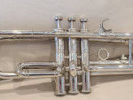 Nadir Ali trumpet
