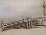 Nadir Ali trumpet