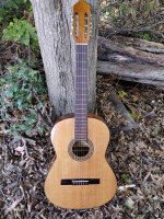 Classical guitar from Mexico