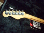 1993 American Deluxe Ash Fender Stratocaster Plus