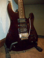 1989 Hamer Chaparral Sustaniac
