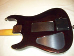 1989 Hamer Chaparral Sustaniac