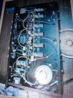 Blitz Amplifer LSD-25R all tube Tremolo Reverb