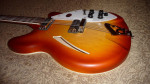 Rickenbacker LTD 360-12 Satin Autumnglo NEW