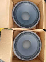 New Klipsch 15 inch speakers