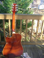 Takamine EG530SC SolidTop Acoustic Elec