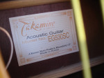 Takamine EG530SC SolidTop Acoustic Elec