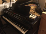 Gizmo Recording Spring Special!