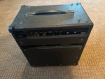 Randall/Synergy/Egnater RM20 with Deluxe module