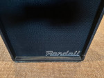 Randall/Synergy/Egnater RM20 with Deluxe module